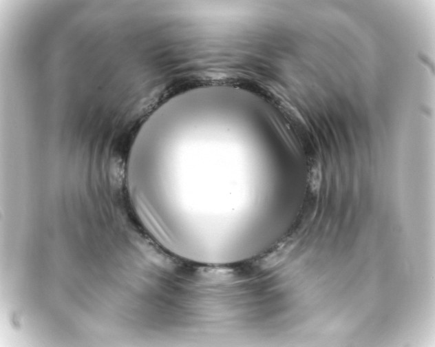 X0000093230476200710241239