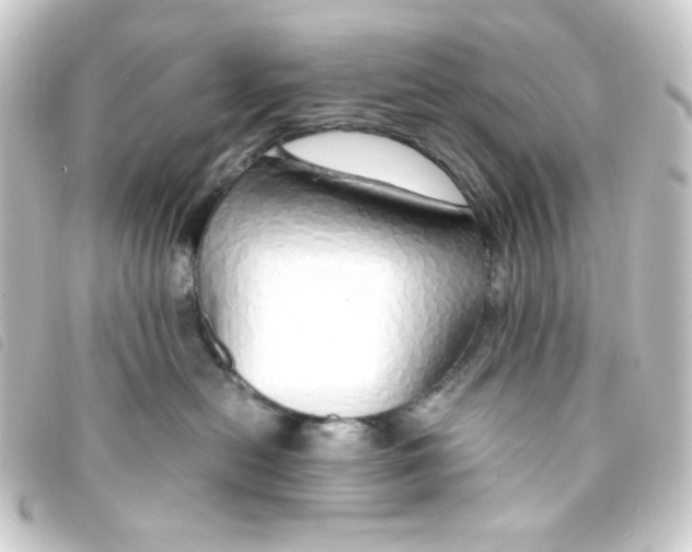 X0000093230478200710241239