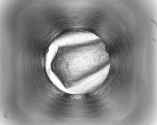 X0000093230479200710241239