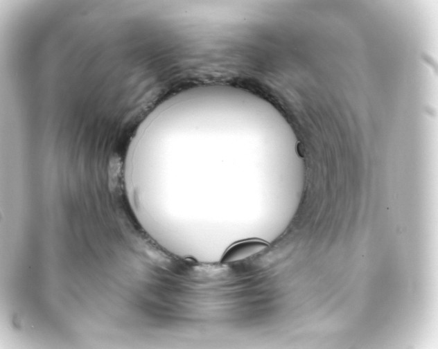 X0000093230480200710241239