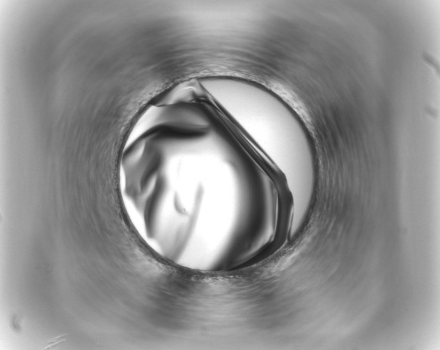 X0000093230481200710241239