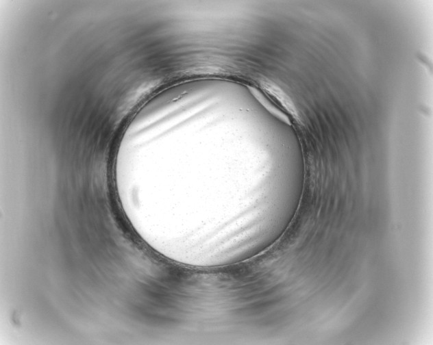 X0000093230482200710241239