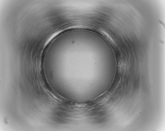 X0000093230484200710241239