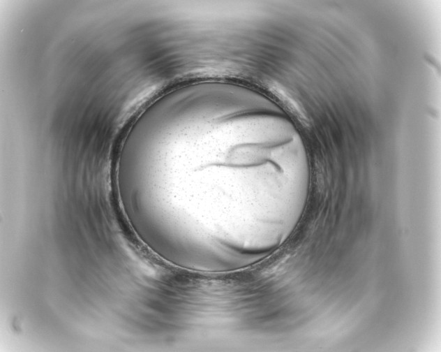 X0000093230486200710241239