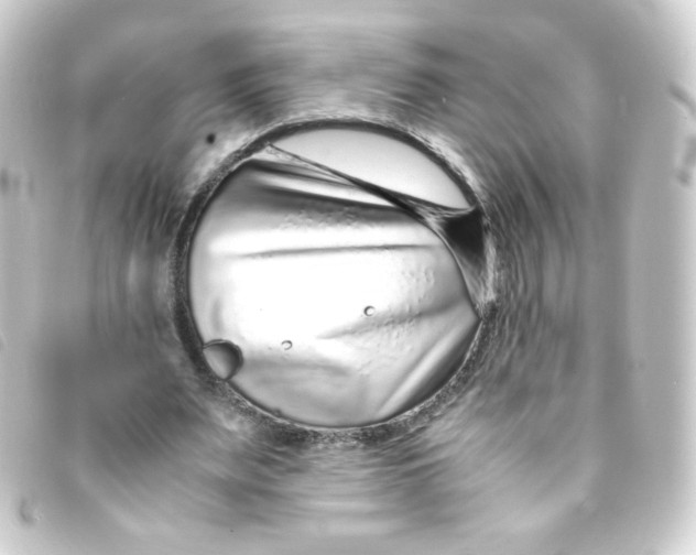 X0000093230487200710241239