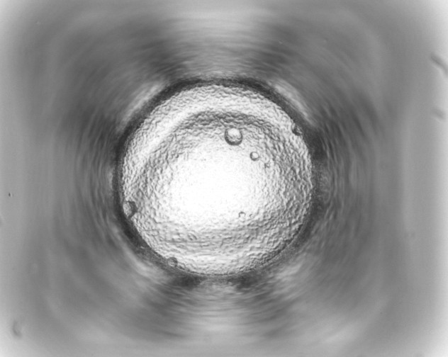 X0000093230491200710241239