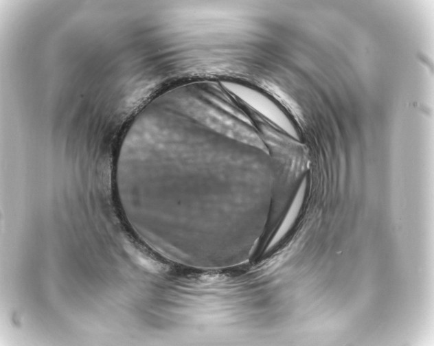 X0000093230493200710241239