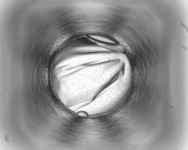 X0000093230494200710241239