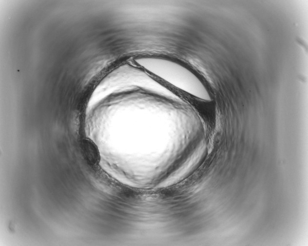 X0000093230495200710241239