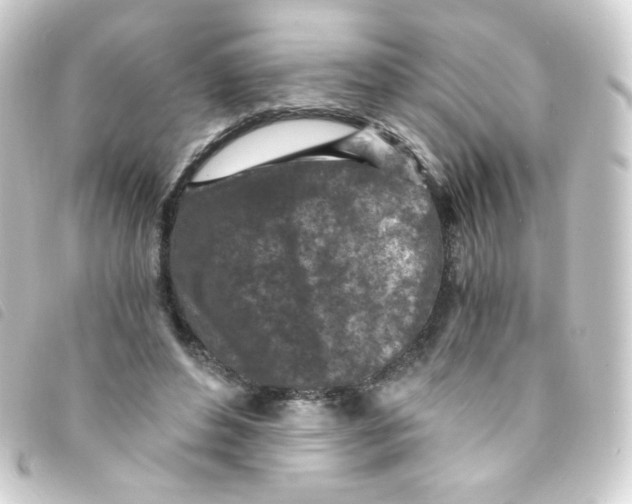 X0000093230496200710241239