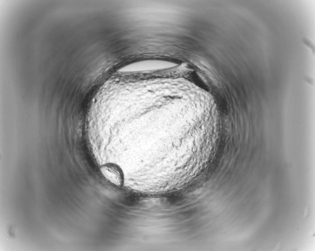 X0000093230499200710241239