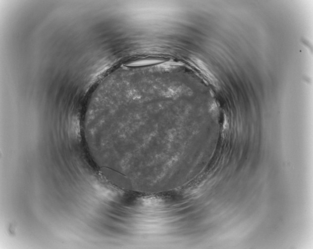 X0000093230500200710241239