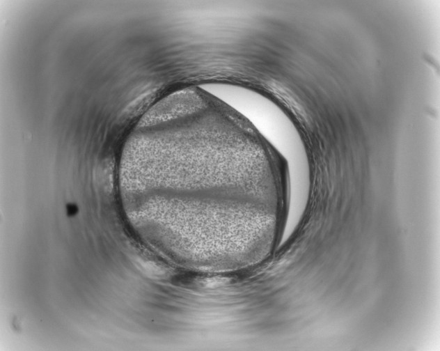 X0000093230501200710241238