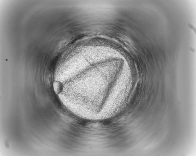 X0000093230503200710241238