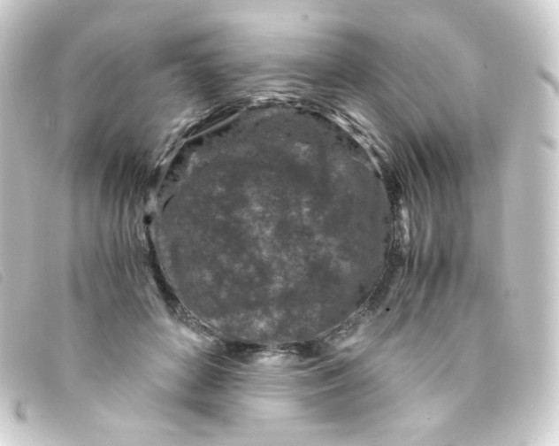 X0000093230504200710241238