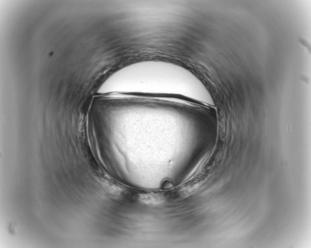 X0000093230511200710241238