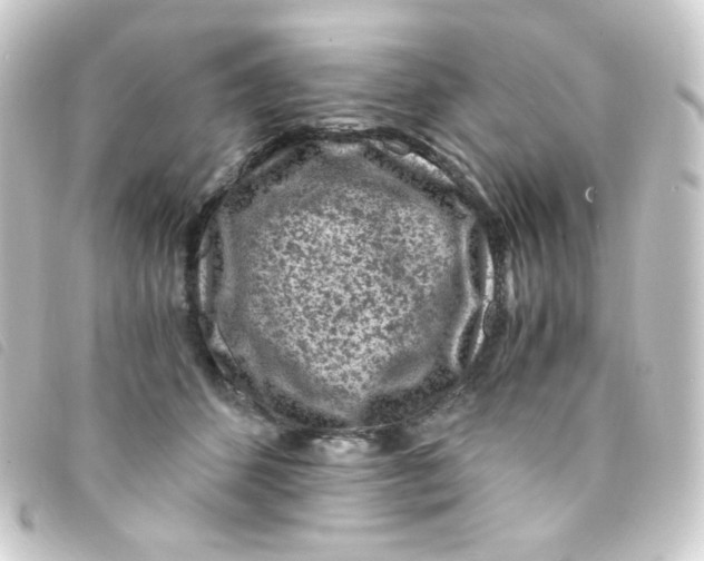 X0000093230512200710241238