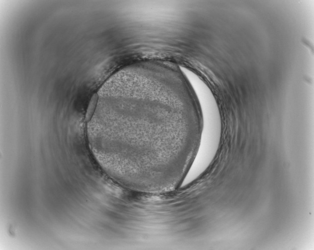 X0000093230513200710241238