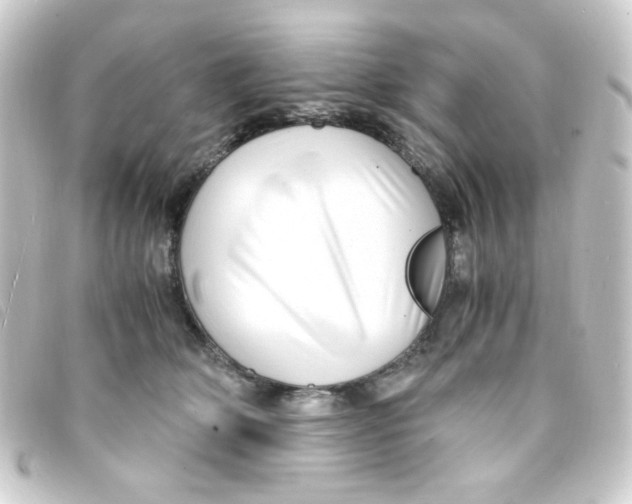 X0000093230514200710241238