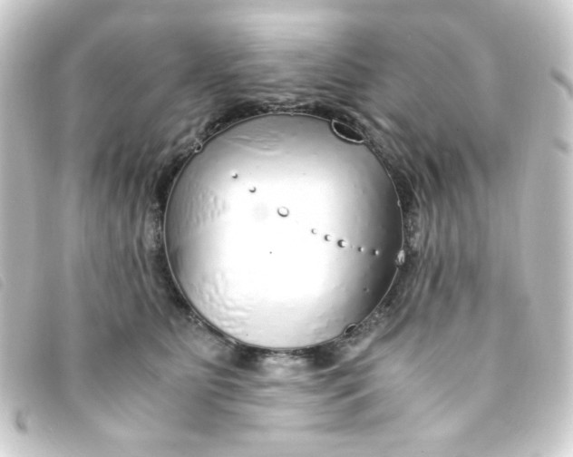 X0000093230515200710241238