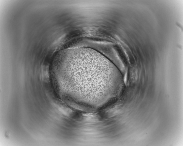 X0000093230516200710241238