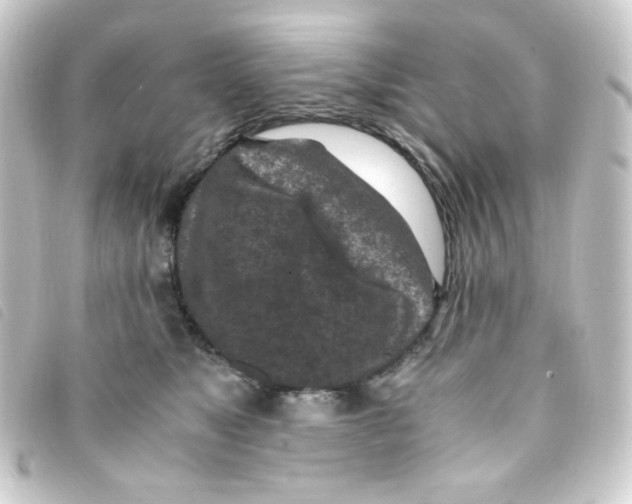 X0000093230517200710241238