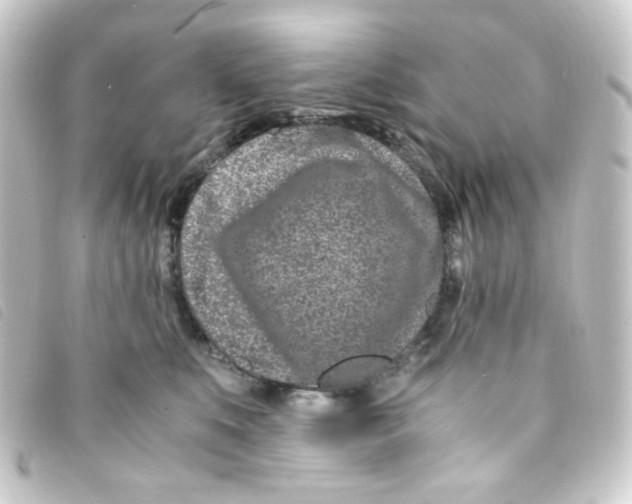 X0000093230519200710241238