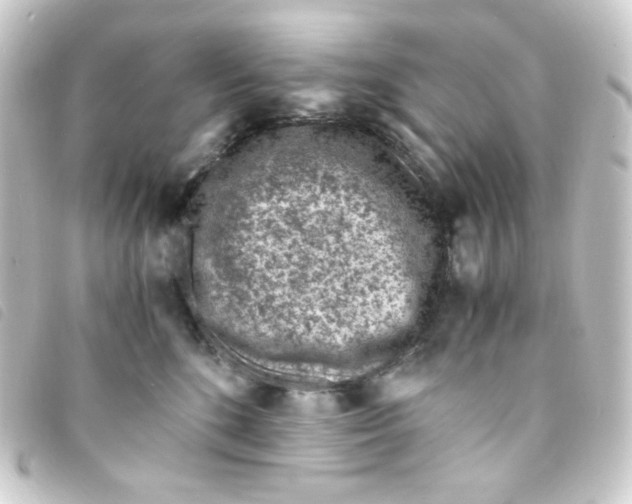 X0000093230520200710241238