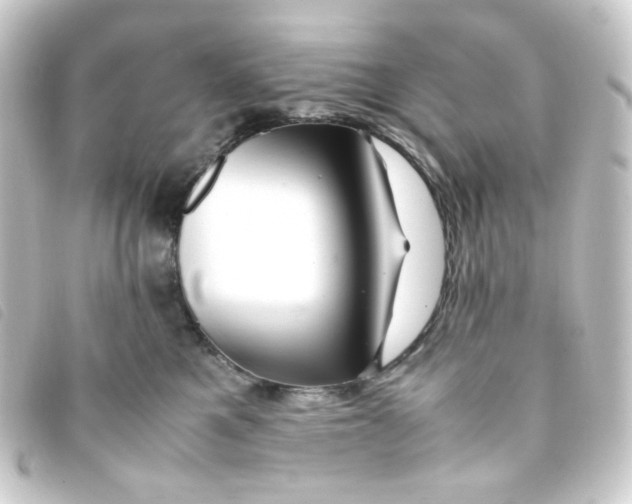 X0000093230521200710241238