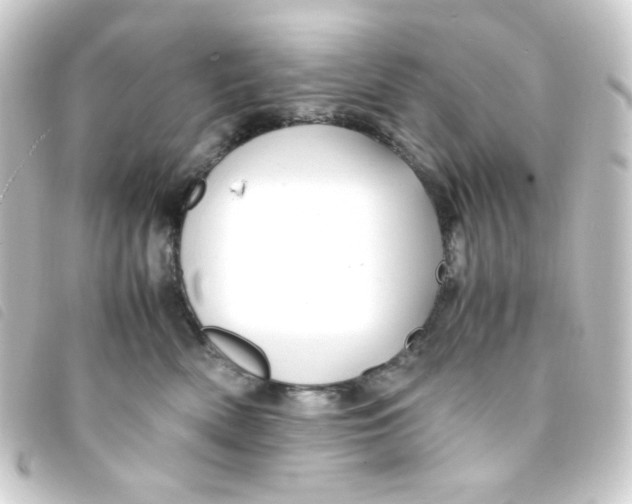 X0000093230522200710241238