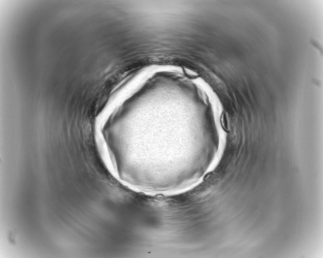 X0000093230523200710241238