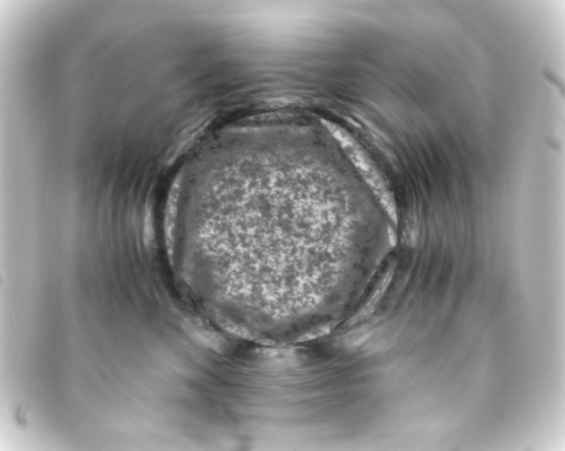 X0000093230524200710241238