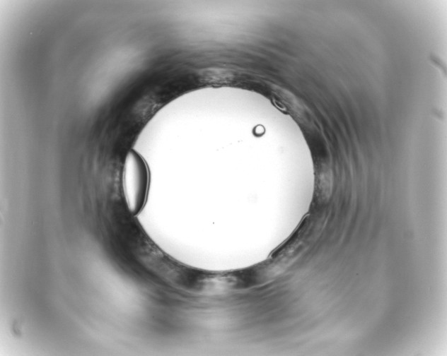 X0000093230525200710241238