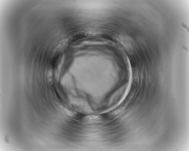 X0000093230526200710241238