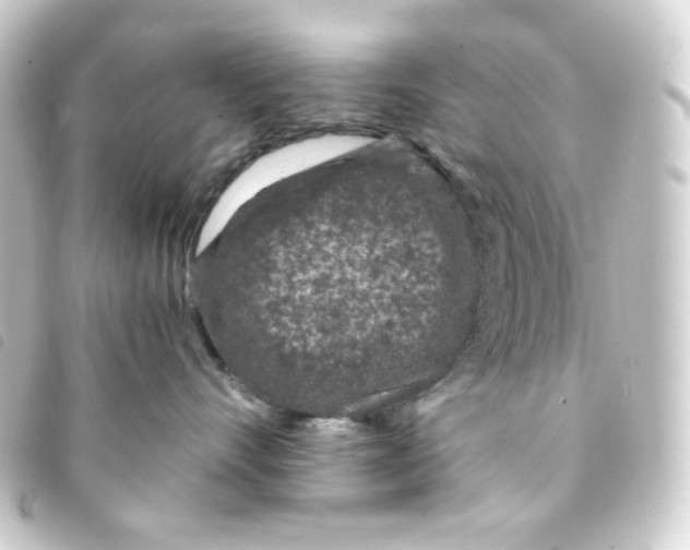 X0000093230528200710241238