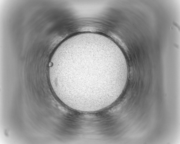 X0000093230529200710241237