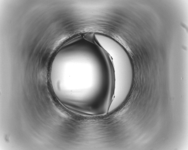 X0000093230530200710241237