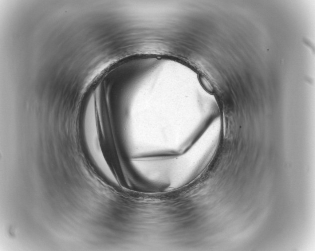 X0000093230531200710241237