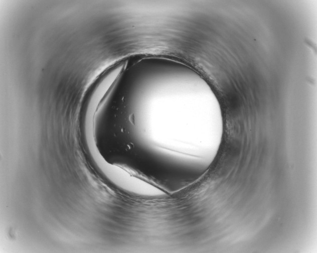 X0000093230532200710241237