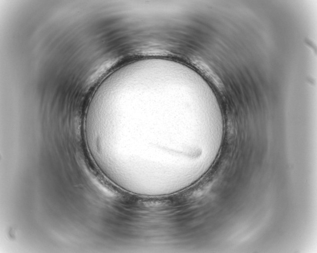 X0000093230533200710241237