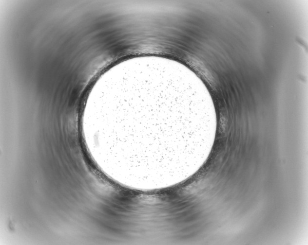 X0000093230534200710241237