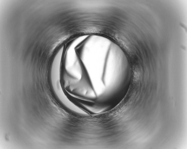 X0000093230539200710241238