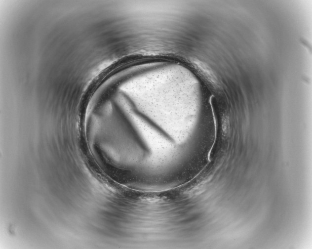 X0000093230540200710241238