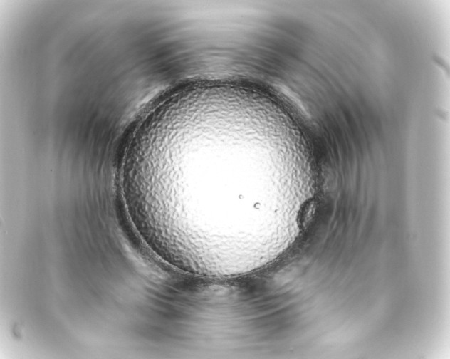 X0000093230542200710241238