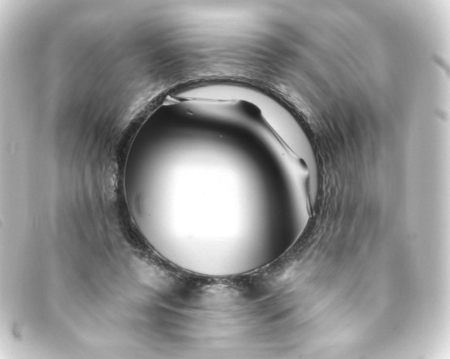 X0000093230544200710241238