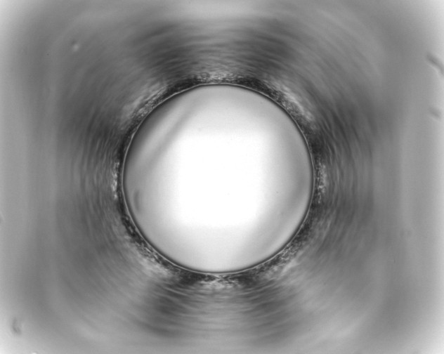 X0000093230545200710241238