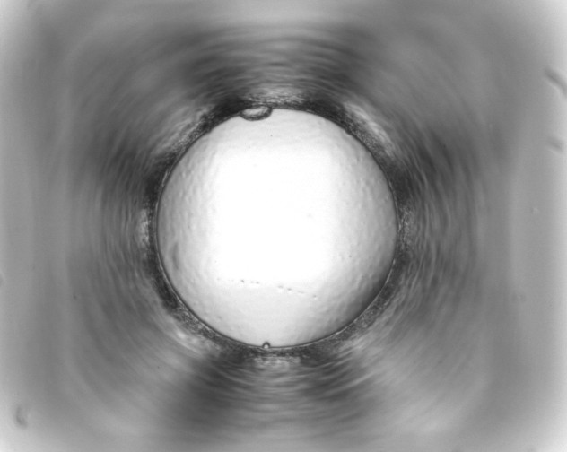 X0000093230549200710241238