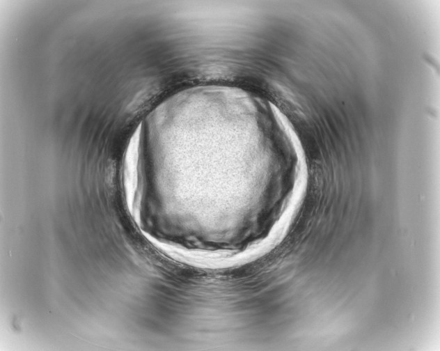 X0000093230550200710241238