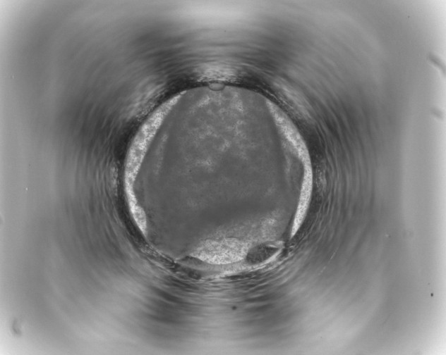 X0000093230551200710241238