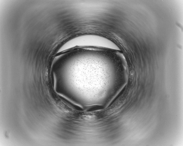 X0000093230552200710241238